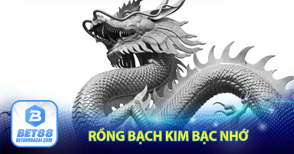 Rồng bạch kim bạc nhớ